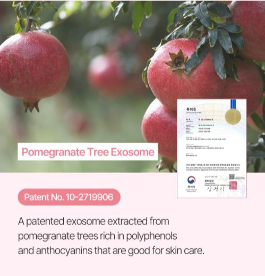 PRETTYSKIN PDRN TX1 Perfect Fit Cream