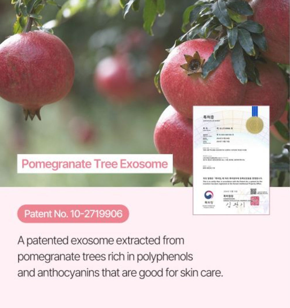 PDRN TX1 Perfect Fit Serum